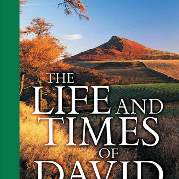 Life and Times of David