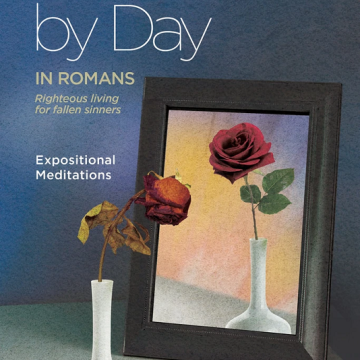 Day by Day in Romans